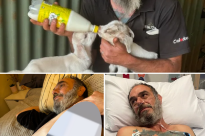 Only 10 Minutes to Live After Gory ‘Abdomen-Ripping’ Fall: The Breathless Rescue of a South Australian Farmer from D3ath’s Door!