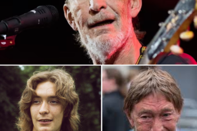 “Driving Home For Christmas” Hitmaker Unexpectedly Passes Away At Age 74