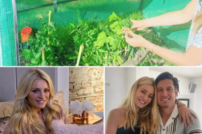 Tess Daly retires from Strictly Come Dancing – returning to a peaceful life in a £5 million villa