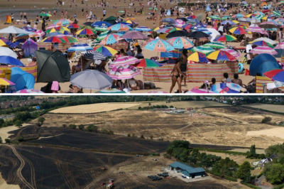 “Unprecedented”: Scientists Issue An Emergency Signal As UK Temperatures Reach A New Record High!