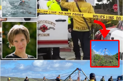 RUMORS EXPLODE: Possible ‘B0dy Found’ of Missing Swimmer Erica Fox — Community Sh-cked As Search Raises Horrifying Questions