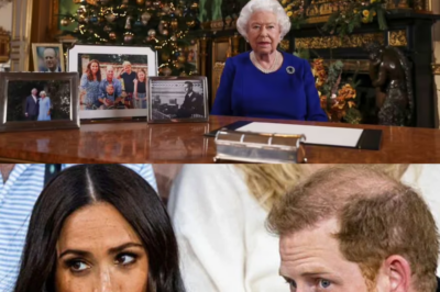 Meghan Markle and Prince Harry were reportedly left “furious” with the late Queen Elizabeth II