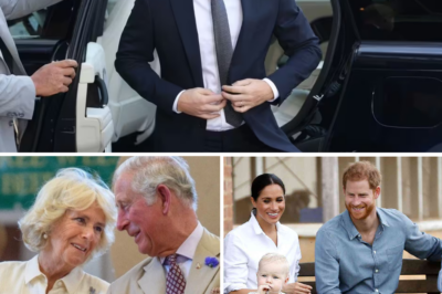 Prince Harry’s Nightmare Is About to End – This Will Reconcile His Relationship with King Charles Forever