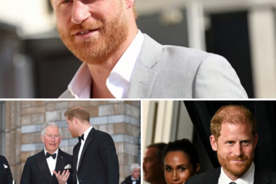 Prince Harry Closes Out 2025 with a Meaningful Video Message to the Public