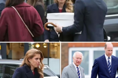 SIGNS OF TENSION? King Charles and William BOTH Skip Granddaughter’s Christening: Who Has Taken Back Their Place at the Palace?