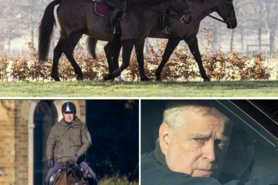 The former Prince Andrew drove away from Royal Lodge after the pleasant horseback ride