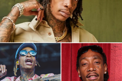 Sh0cking: Superstar Wiz Khalifa sentenced to 9 months in jail following onstage ‘smoking’ scandal
