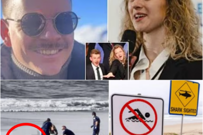 RED FLAG Beneath the Waves: GoPro Captures Dolphins Just Minutes Before a Bull Shark Strikes