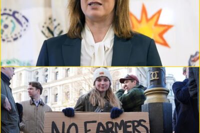 “THIS CHRISTMAS, IT’S ALL THEY’RE TALKING ABOUT”: Farmers Say Rachel Reeves’ Inheritance T-a-x Plans Are Casting a Shadow Over Family Tables and Festive Traditions