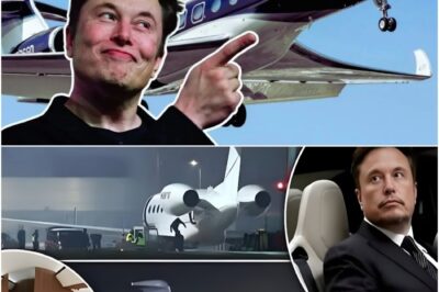 “ELON MUSK JUST REWRITTEN FLIGHT FOREVER” — SpaceX’s StarJet Promises Supersonic Earth-to-Stratosphere Travel, Blurring the Line Between Jet and Spacecraft