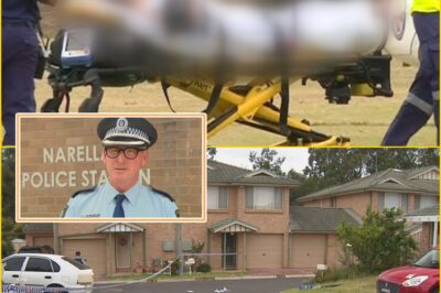 Pregnant Woman Fighting for Life After Alleged Domestic Atta:ck — Police Confirm ‘Sh0cking Circumstances’