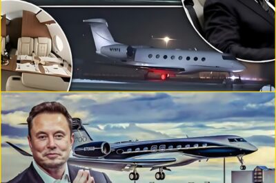 Elon Musk Unveils “StarJet” Concept — A Radical Vision That Could Rewrite the Future of Flight