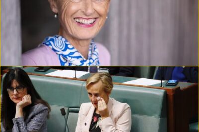 “SHE KEPT FIGHTING IN SILENCE”: Former Higgins MP Katie Allen Di-es at 59 — The Private Battle Few Knew About