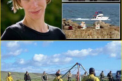 NO ONE SAW THIS COMING: B0:dy Recovered 30 Miles From Where Erica Fox Vanished — The Answer Everyone Fe:ars Remains Unknown