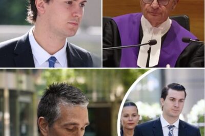 UNACCEPTABLE C0NFLICT EXP0SED: Supreme Court Judge Quits After Links to AFL Legend Stephen Silvagni Revealed in Tom Silvagni Suppression Row