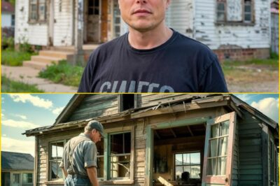 Elon Musk Sh0cked Neighbours by Buying a Tiny Shack for $5 — Now Everyone Finally Knows the Real Reason Behind the Billionaire’s Bizarre Purchase