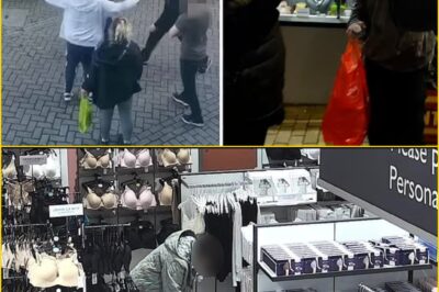 “THEY’VE STOPPED CHASING THIE-VES” — Britain ‘in the Grip of a Theft Epidemic’ as Police Quietly Shelve a Record 800 Shoplifting Cri:mes Every Single Day