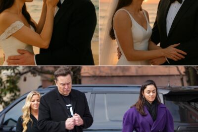Internet Erupts Over Elon Musk’s Secret Beach Wedding — Shadowy Power Player Spotted in Background Sends Fans Into a Frenzy