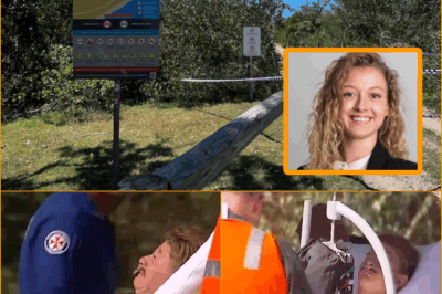UPDATE: Police are investigating whether a Swiss couple were filming dolphins on a GoPro at a NSW beach when they were att4cked by a shark