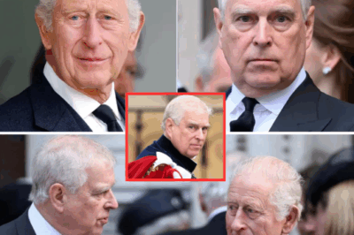 King Charles Issues a Major Directive Concerning His Brother Andrew Mountbatten-Windsor – The Final Privileges of a Royal Stain
