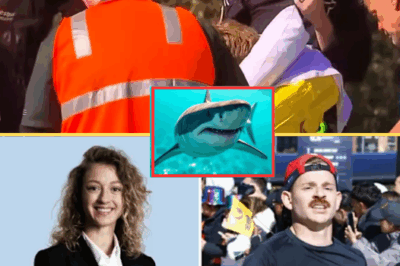 “I Heard The Final Scream”: Witness Recounts Every Terrifying Moment As Swiss Tourist Was Mauled By Bull Shark