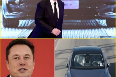 TESLA’S COUNTDOWN TO A TRANSPORTATION EARTHQUAKE: Elon Musk Prepares to Reveal Full Self-Driving Secrets That Could Rewrite the Future of Cars