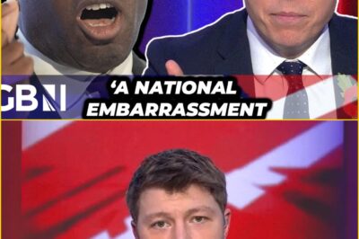 “NATIONAL JOKE!” — Patrick Christys Bla:sts David Lammy Over Sh0cking Pris0ner-Release Blunders