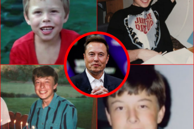 ALL THERE IS TO KNOW about ELON MUSK Genius SAW THE FUTURE