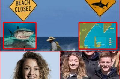 Victim’s GoPro May Have Captured the ENTIRE Shark Att@ck — Police Now Analyzing the Chill!ng Footage Beneath the Waves