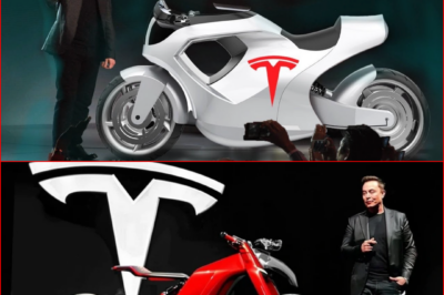 “IT WILL NEVER HAPPEN…” — ELON MUSK SLAMS THE DOOR ON TESLA MOTORBIKES, CALLS THEM ‘TOO DANGEROUS’ AS AI VIDEO GOES VIRAL ⚠️