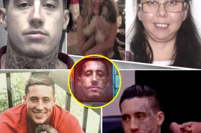 Handsome Devil: Inside the “De@dpool K*ller” Case That Turned a Brutal Cr-i-me Into a Viral 0bsession