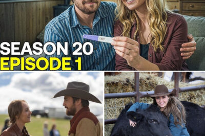 Nothing Feels Safe Anymore: Heartland Season 20 Teases Shattering Secrets and Dangerous New Threats