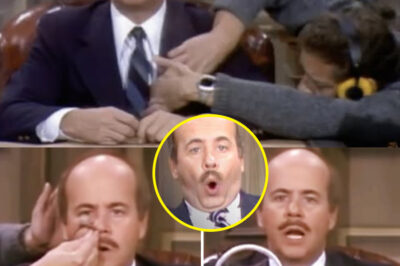 The Live TV Disaster That Became Comedy Legend: How Tim Conway Accidentally Broke The Carol Burnett Show