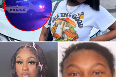 “She was a beautiful person with a noble soul”: Lanyah Dawson’s grandmother breaks her silence for the first time regarding her granddaughter’s wrongful d3ath!