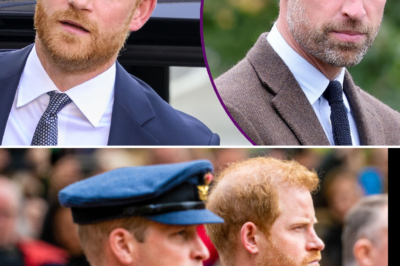 Harry painfully recounts the traumas that William caused throughout his childhood