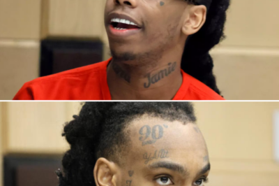 “Our hearts were waiting for justice,” but all that remains is a chilling silence as YNW Melly’s case suddenly “vanishes” without a trace!
