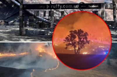 They stood in front of the house just seconds before it was leveled: A witness recounts the fateful moment of the three missing victims amidst the Longwood inferno!