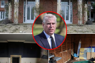 Inside Prince Andrew’s abandoned former mansion: From royal wedding gift to demolished ruins
