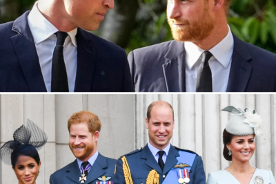 Harry officially “breaks his silence” to reconcile, but what is making William determined to “shut the door” on his brother in 2026?