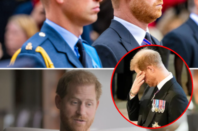 Who is the real victim?: Harry claims William once screamed and shouted in his face – A trauma that remains forever engraved in his heart