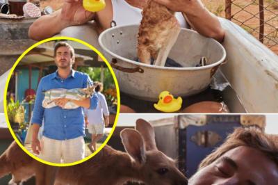 From a conceited city dweller to a kangaroo ‘nanny’: The film is an emotional healing journey for the urban youth generation