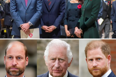 A sh0cking detail from the memoir Spare has unexpectedly resurfaced, exposing the brutal truth about the Royal Family’s division!