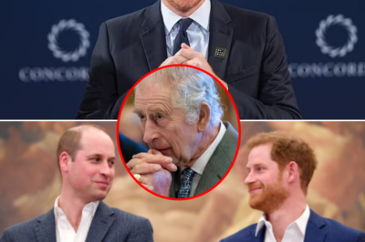 Although there has been no official announcement, the entire UK is longing day by day for the date of Harry’s return to reunite with the Royal Family