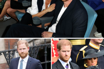 Harry asserts that he does not feel safe bringing his wife and children back to the UK