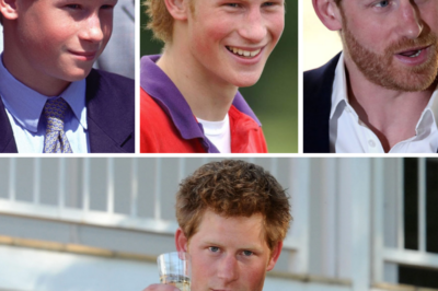 Prince Harry recounts a ‘wild’ drunken night with friends over a decade ago that he will never forget