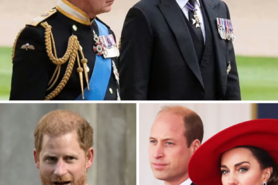 “HE WILL NOT SEE HIM” — Real Reason King Charles Refuses to Meet Prince Harry Next Week Revealed