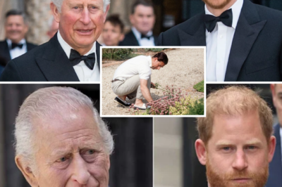 “NO ONE SAW THIS COMING…” — Prince Harry Appears in King Charles’s New Documentary in a Quietly Emotional Surprise