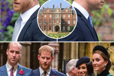 Prince William issued a dire warning as Prince Harry rift reaches breaking point — insiders fear the damage may be irreversible