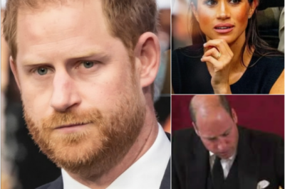 “YOU DON’T ERASE A TITLE WITH A SIGNATURE” — MEGHAN MARKLE PUSHES BACK AS PRINCE WILLIAM’S ROYAL RESET BEGINS