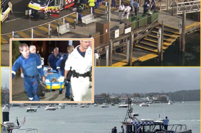 “WE ARE NOT READY TO LET HIM GO”: Young Boy Left Fighting for His Life After Sydney Harbour Shark Att:ack — Family Shares New Update That Raises More Questions Than Answers